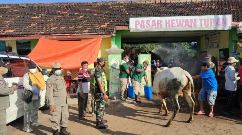 Di Bukanya Pasar Hewan, Koramil 03 Semanding Terjunkan Babinsa Untuk Melaksanakan Pengawasan Hewan Ternak